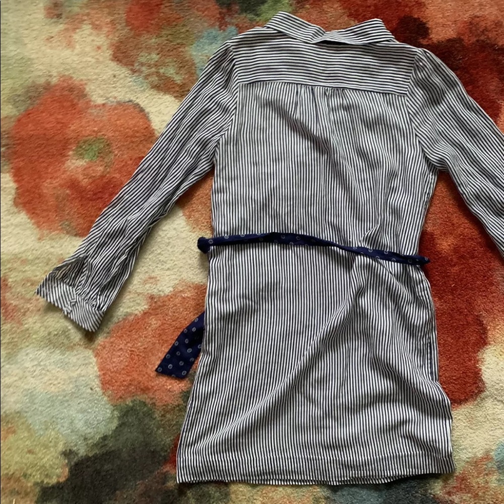 Lilly Pulitzer David Railroad Striped Belted Dress - Picture 4 of 9